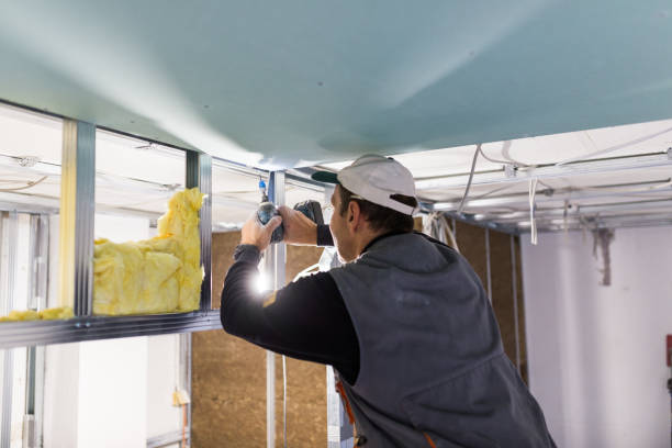 Best Soundproof Insulation Installation  in Timmonsville, SC