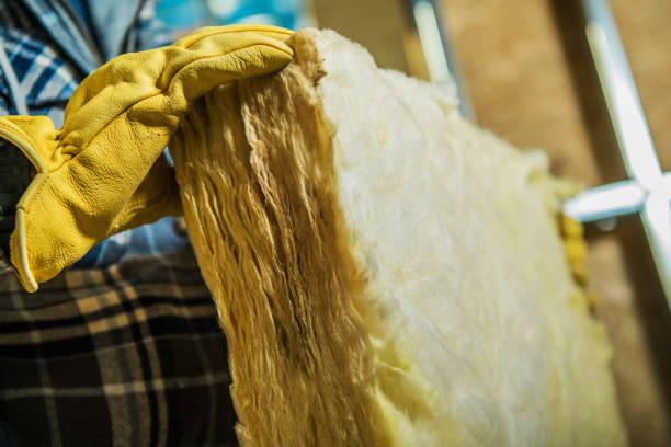 Best Best Insulation Companies  in Timmonsville, SC