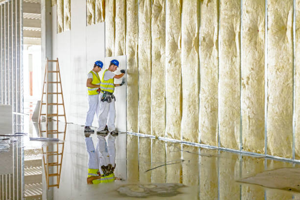 Best Garage Insulation Installation  in Timmonsville, SC